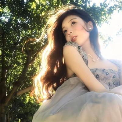 科搜研之女2022